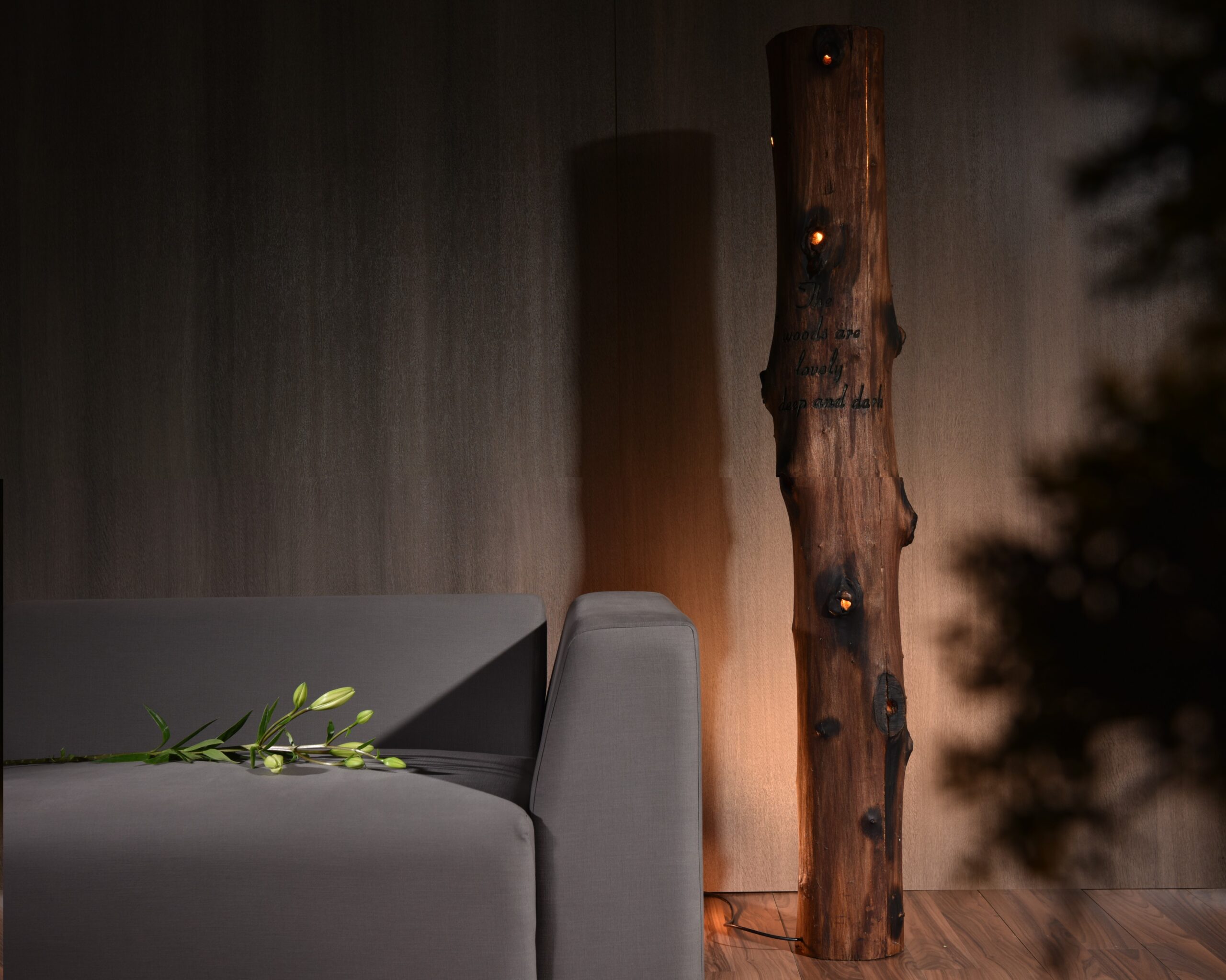 Types of Wood: Guide to Choose the Best Wood for Your Furniture 3 Types of Wood: Guide to Choose the Best Wood for Your Furniture